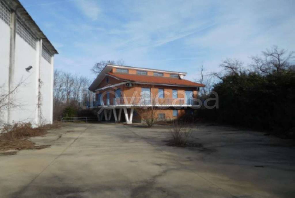 immagine annuncio 1 di 12