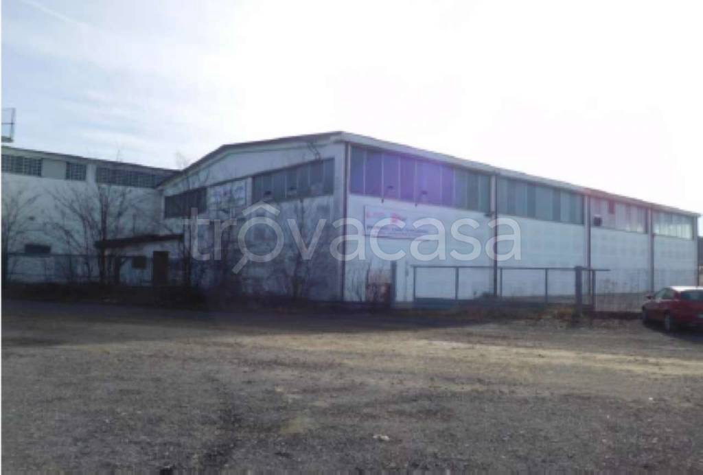 immagine annuncio 2 di 12