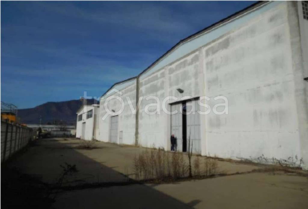 immagine annuncio 4 di 12