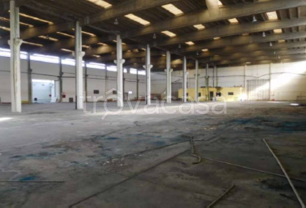 immagine annuncio 6 di 12