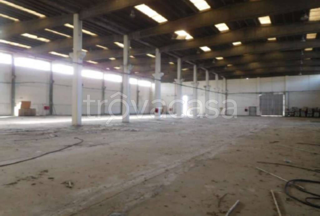 immagine annuncio 7 di 12