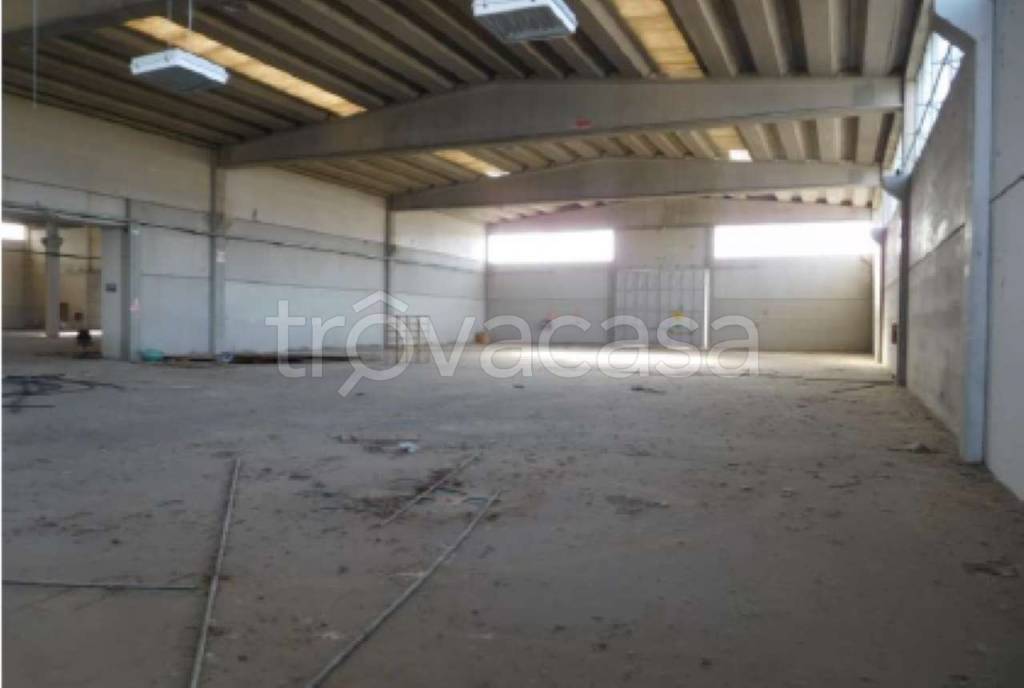 immagine annuncio 8 di 12