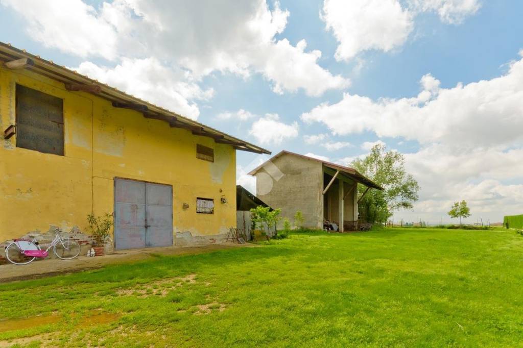 immagine annuncio 11 di 15