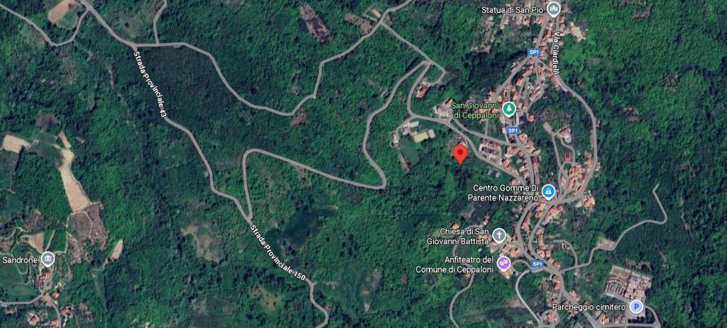 immagine annuncio 11 di 14