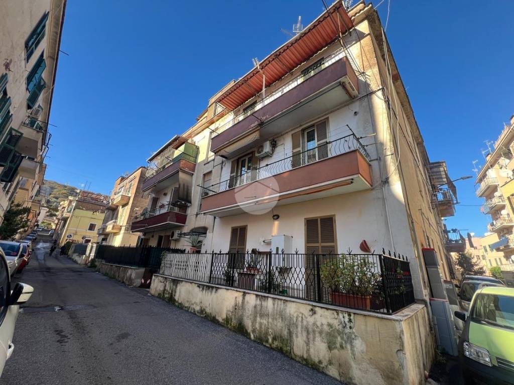 immagine annuncio 1 di 13