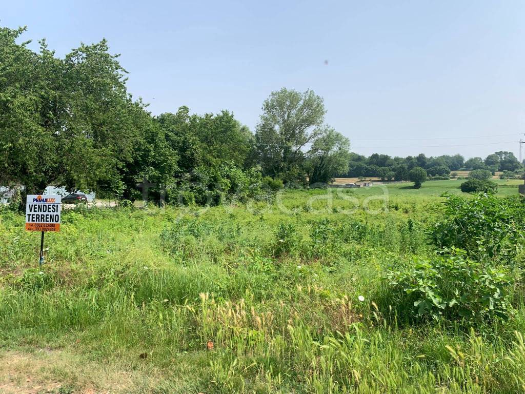 immagine annuncio 1 di 2