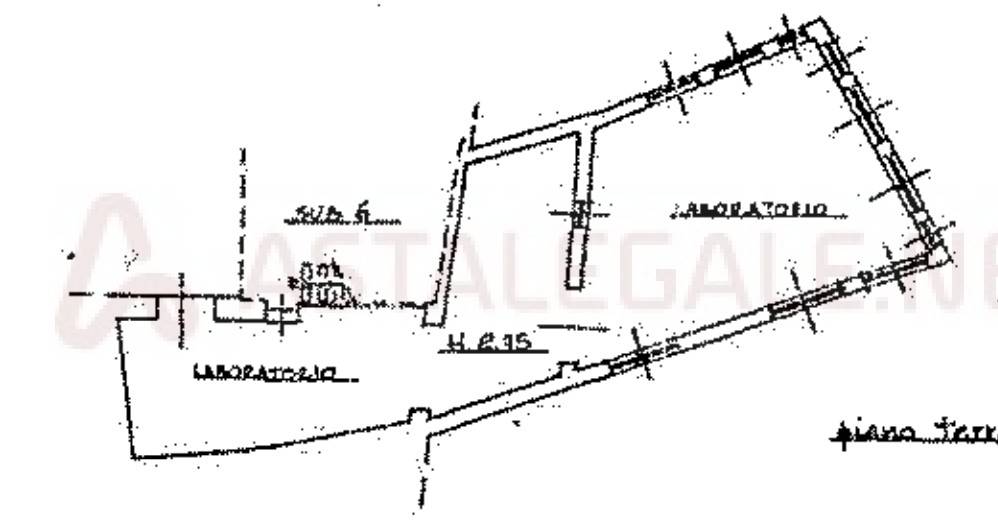 immagine annuncio 9 di 11