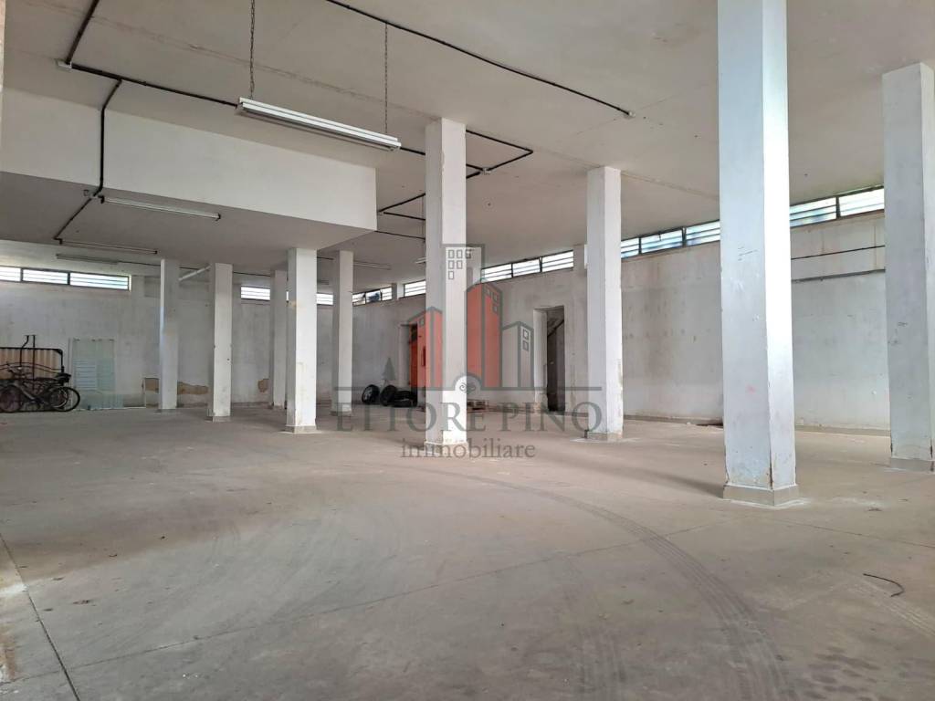 immagine annuncio 2 di 12