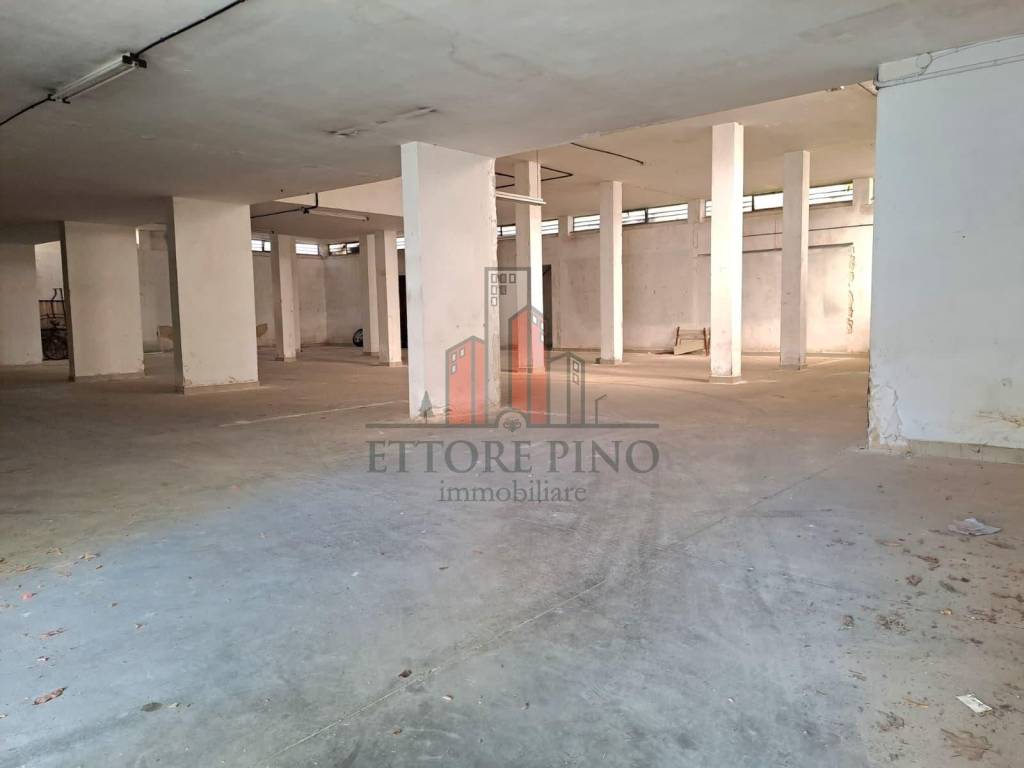 immagine annuncio 9 di 12