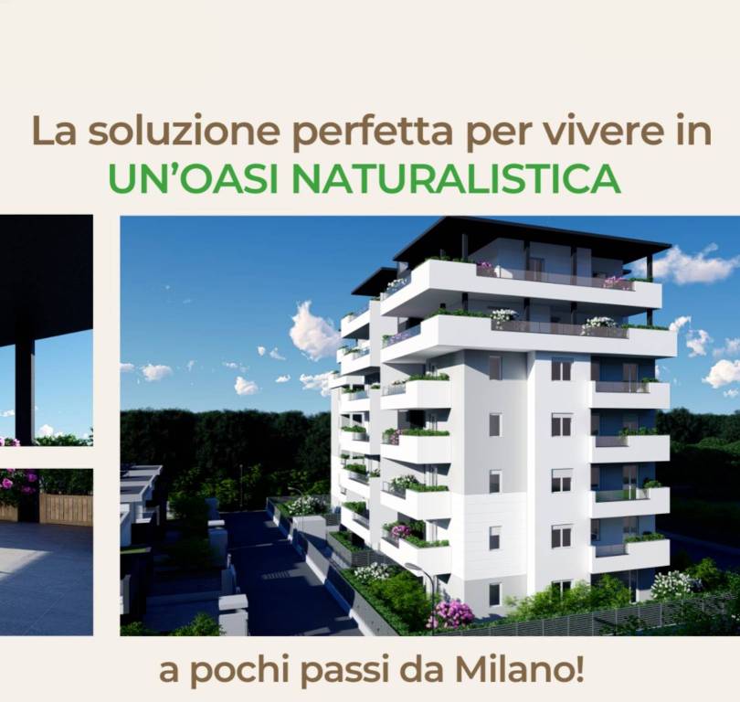 immagine annuncio 9 di 13