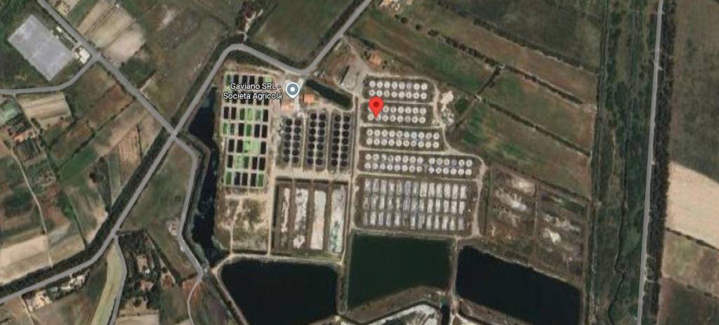 immagine annuncio 7 di 12