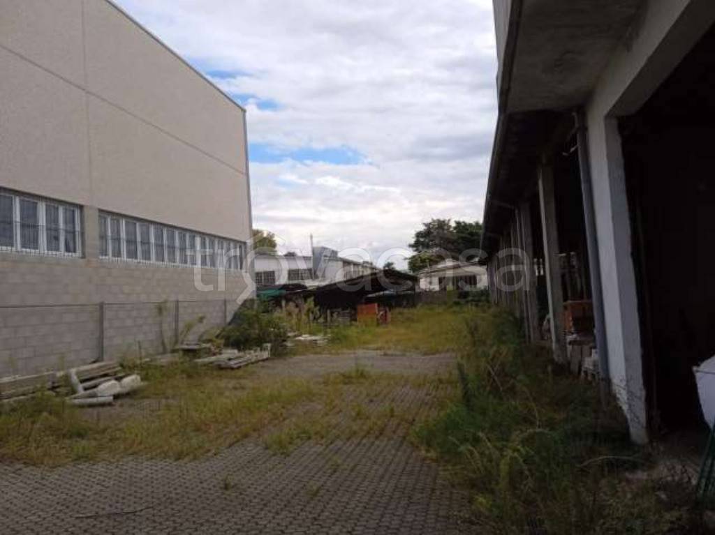 immagine annuncio 9 di 15