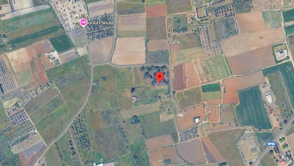 immagine annuncio 1 di 11