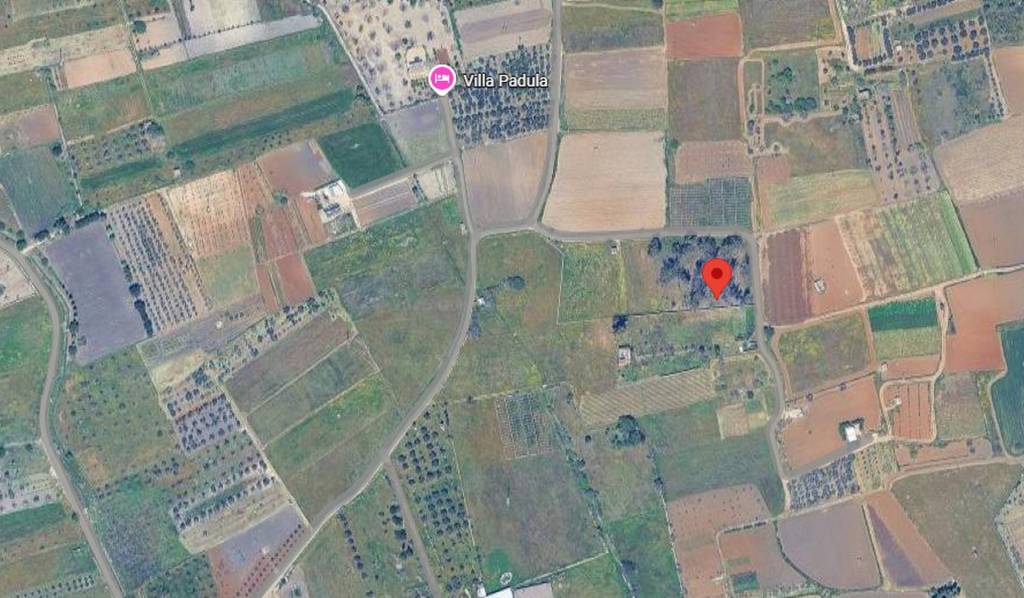 immagine annuncio 3 di 11