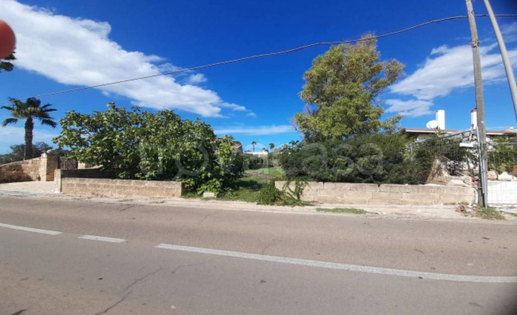 immagine annuncio 6 di 11