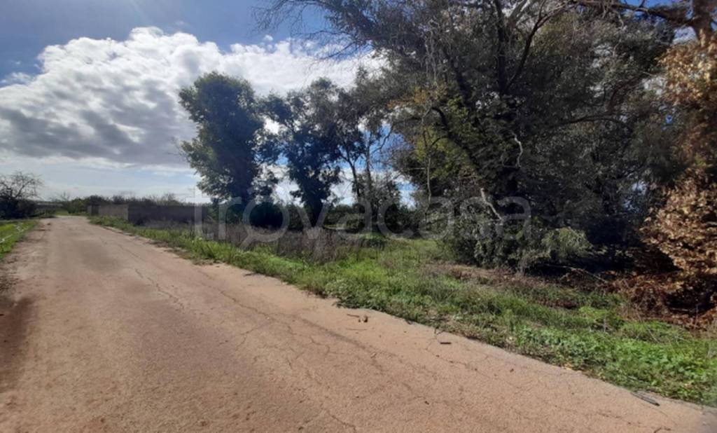 immagine annuncio 7 di 11