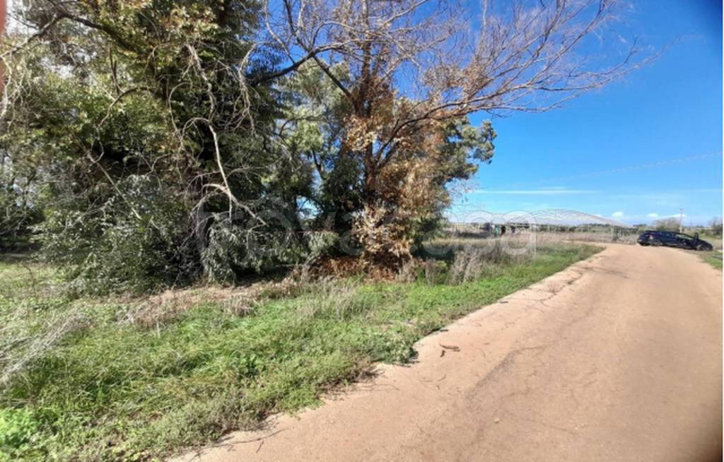 immagine annuncio 10 di 11