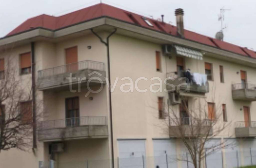 immagine annuncio 1 di 11