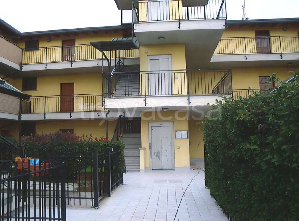 immagine annuncio 2 di 11