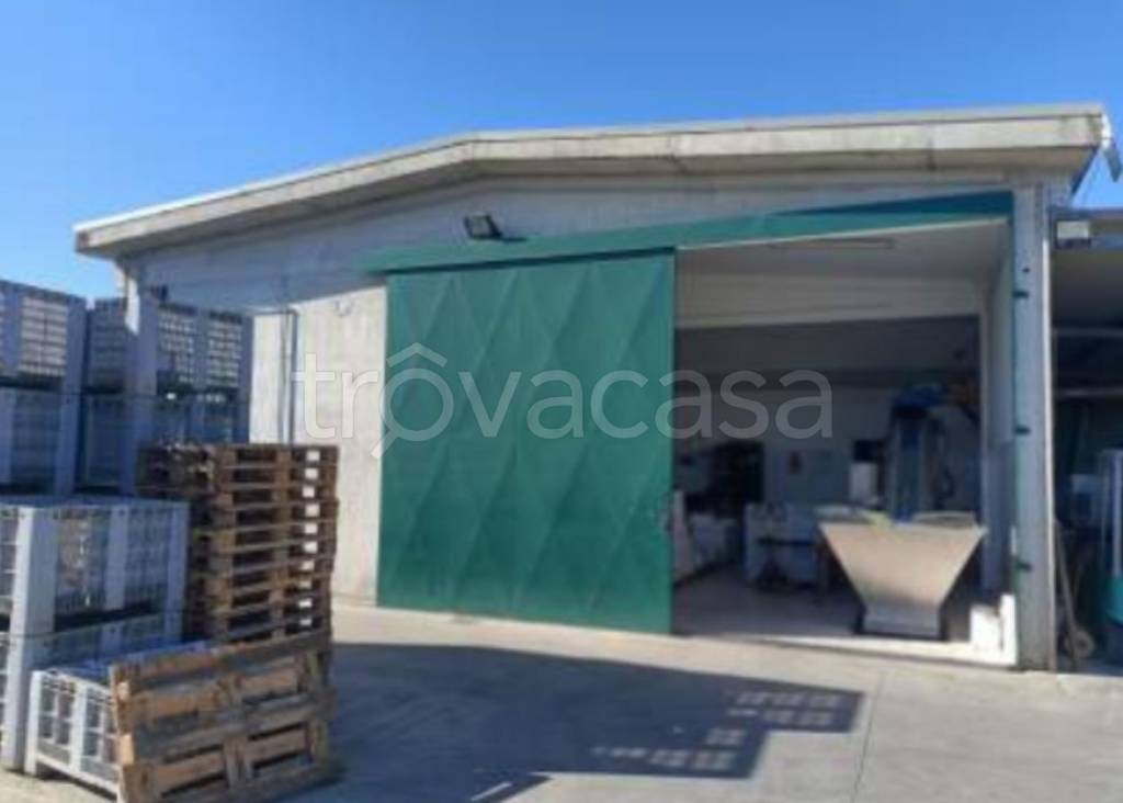 immagine annuncio 4 di 11