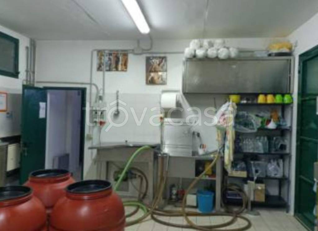 immagine annuncio 5 di 11