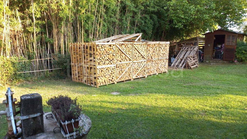 immagine annuncio 11 di 15