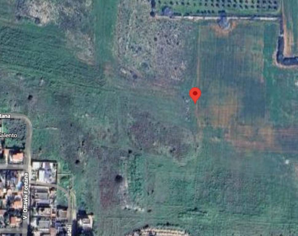 immagine annuncio 2 di 14