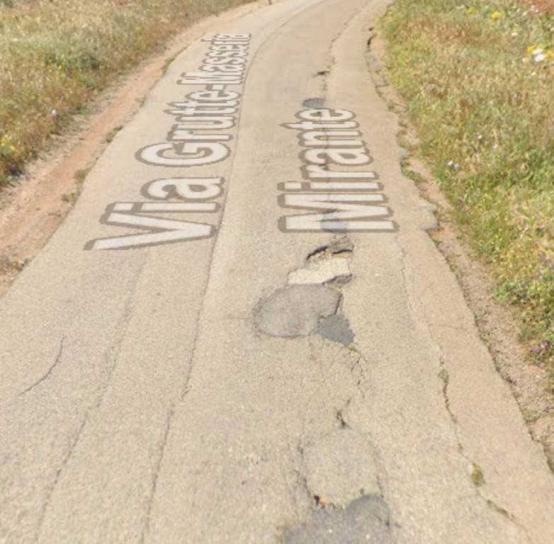 immagine annuncio 12 di 14