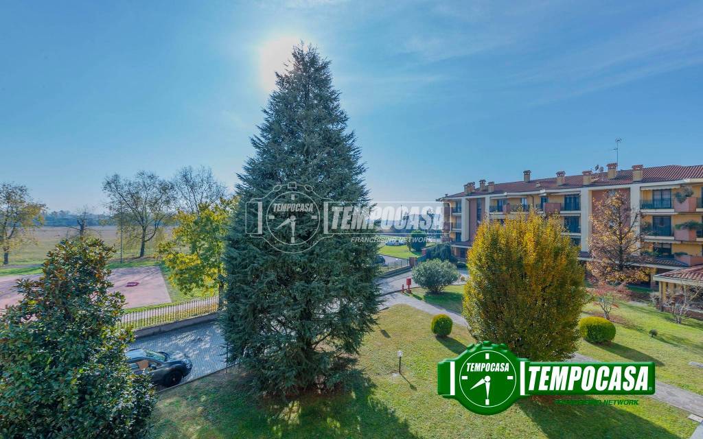 immagine annuncio 5 di 13