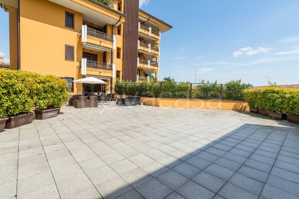 immagine annuncio 5 di 15