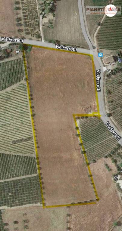 immagine annuncio 3 di 7