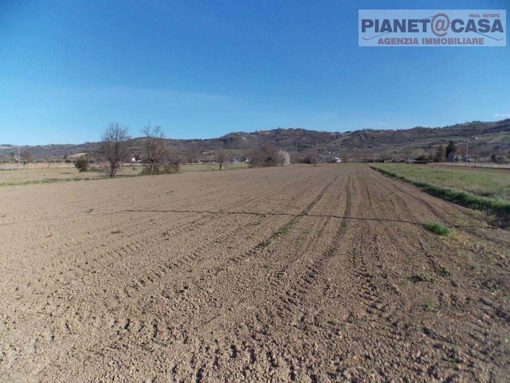 immagine annuncio 3 di 6