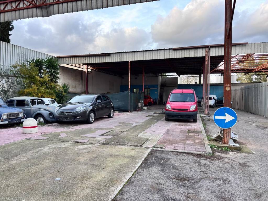 immagine annuncio 1 di 12