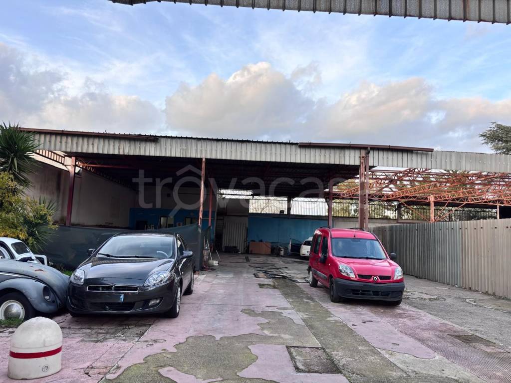 immagine annuncio 2 di 12