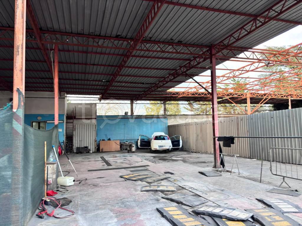 immagine annuncio 3 di 12