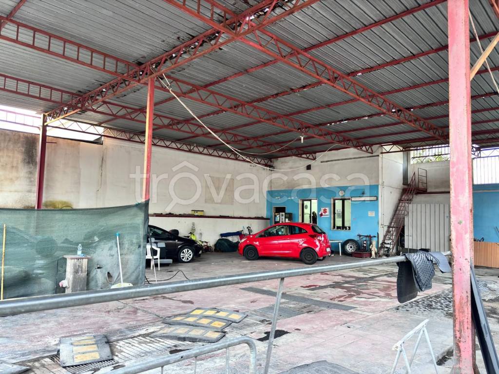 immagine annuncio 4 di 12