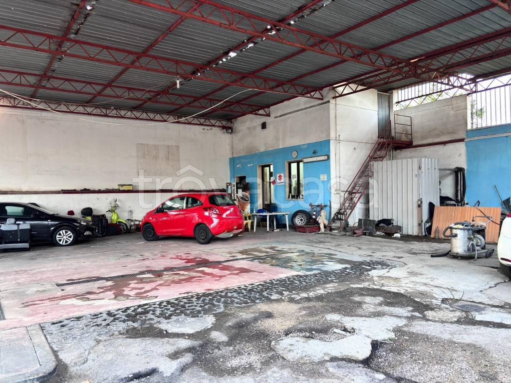 immagine annuncio 5 di 12