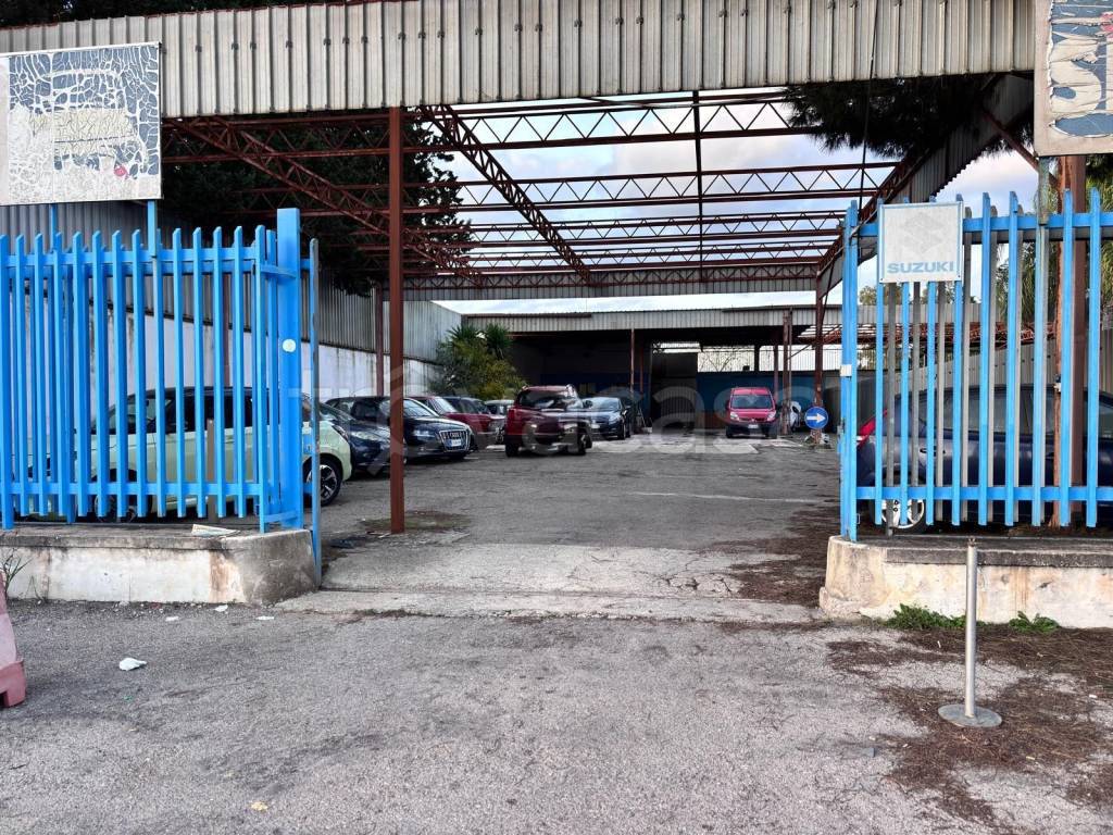 immagine annuncio 10 di 12