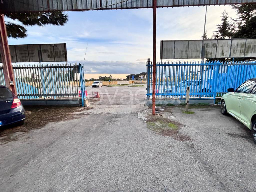 immagine annuncio 11 di 12