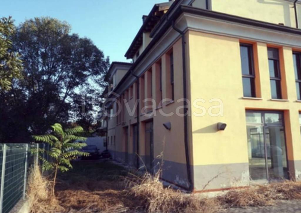 immagine annuncio 7 di 11