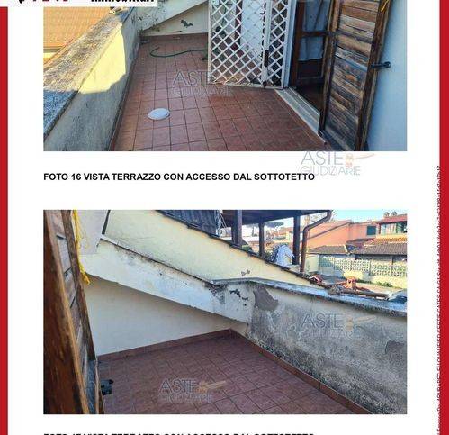 immagine annuncio 9 di 14