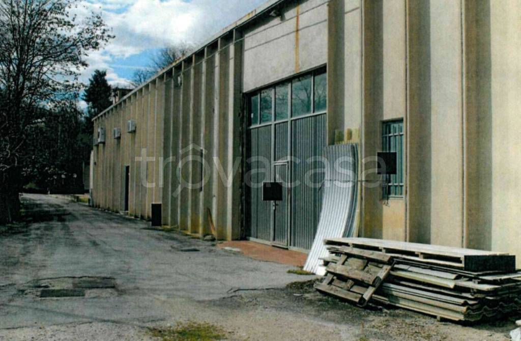 immagine annuncio 2 di 11