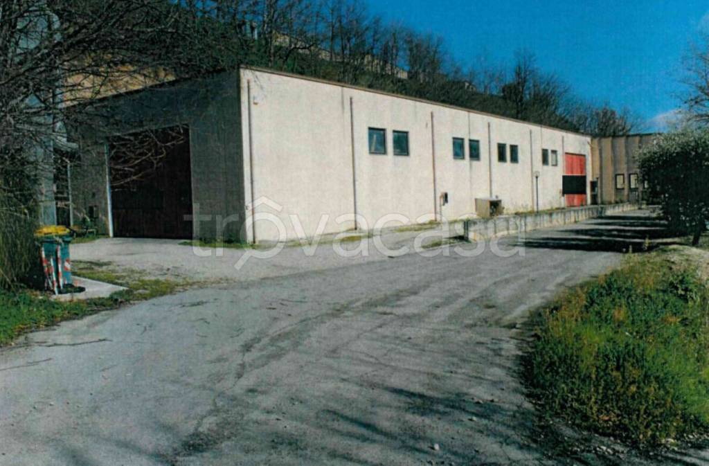 immagine annuncio 4 di 11