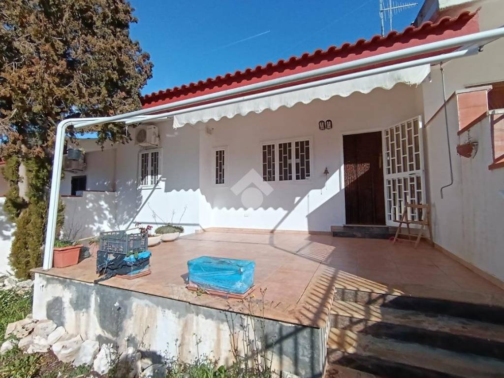 immagine annuncio 1 di 14