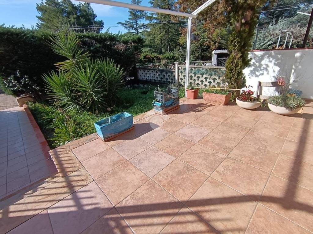 immagine annuncio 6 di 14