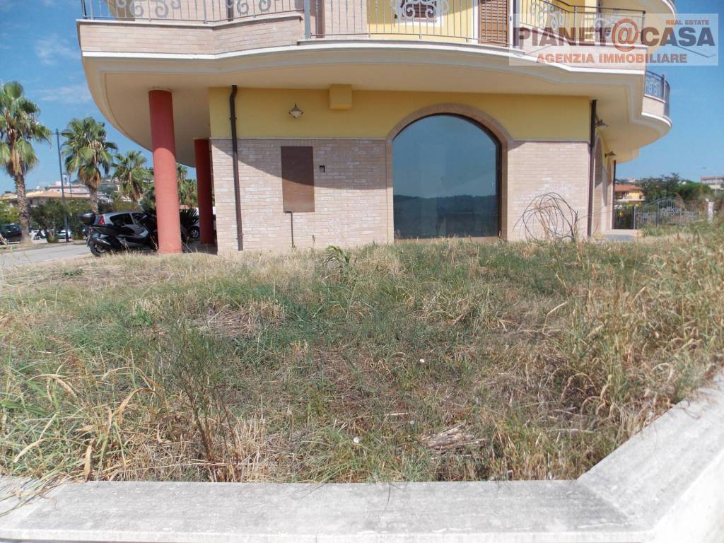 immagine annuncio 10 di 13