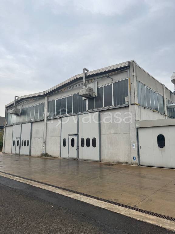 immagine annuncio 2 di 12