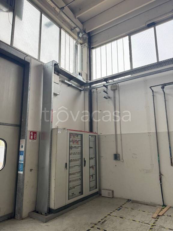 immagine annuncio 4 di 12