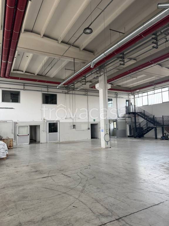 immagine annuncio 5 di 12