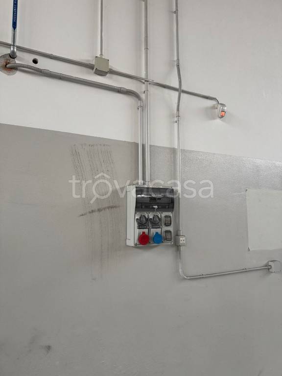 immagine annuncio 7 di 12